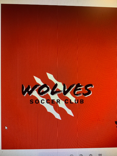 Reeds Spring Wolves Soccer