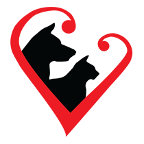 Balfour's Friends Foundation