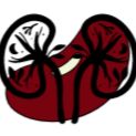 The Kidney Beans
