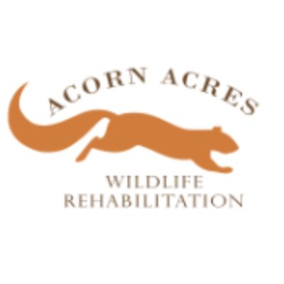 Acorn Acres Wildlife Rehabilitation