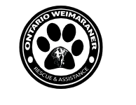 Ontario Weimaraner Rescue and Assistance (OWRAssist)
