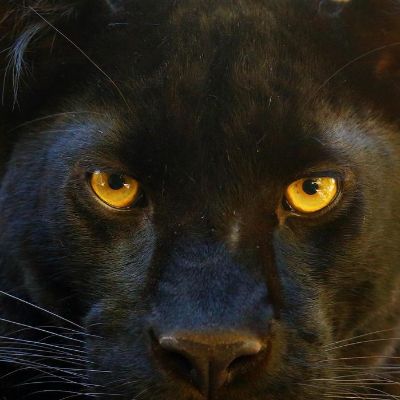 Franklin Regional Baseball Boosters