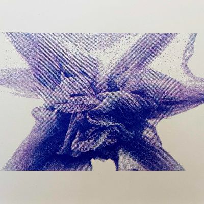 Stretched Loofah, 2022 item