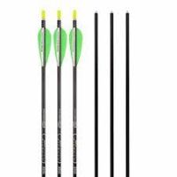 Genesis Arrow (1 Single) item