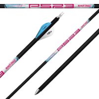 23 Series Arrows (1 Dozen) item