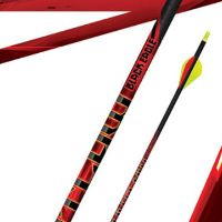 Pre-Fletched 19 Series Standard Diameter Arrows (6 Singles) item