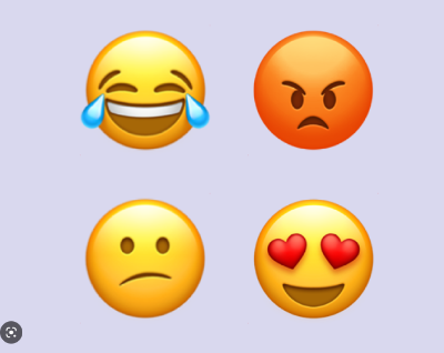 Université de Sherbrooke