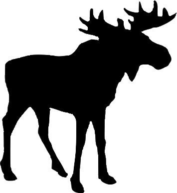 Moose Lake Gospel Camp