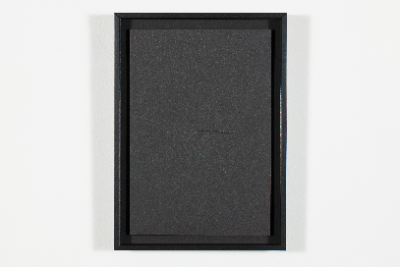 Ghost Species, 2020 item