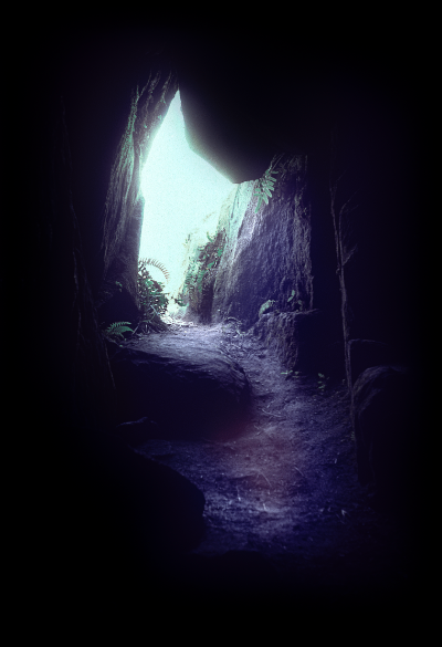 Fantasmes colorés 2, 2022 item