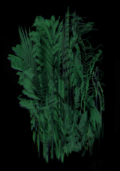 Towards a Parliament of the living III - Ferns, 2022 item