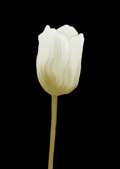 Pause décoloniale, 2023 item