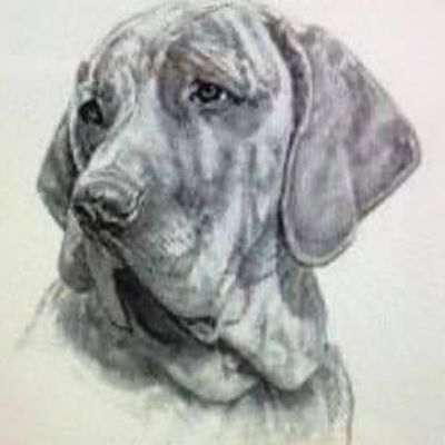 Fila 911 Rescue and Rehab