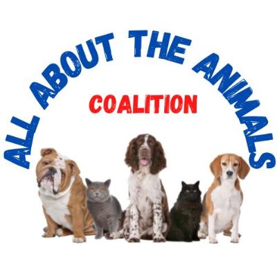 All About the Animals Coalition