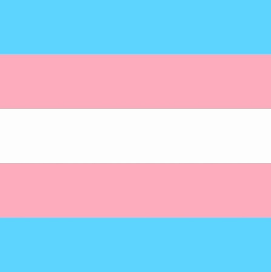 Drapeau trans item