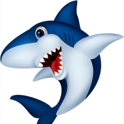 PTO-Shoemaker School Corporation