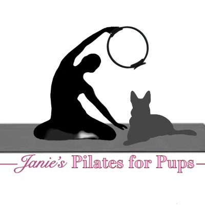 Janie's Pilates for Pups
