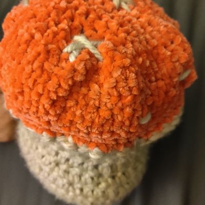 Mushroom Pillow/Stuffy item