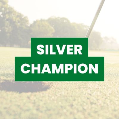 Silver Champion item