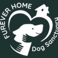 Furever Home Dog Sanctuary