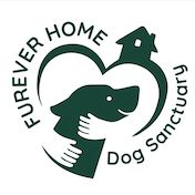 Furever Home Dog Sanctuary