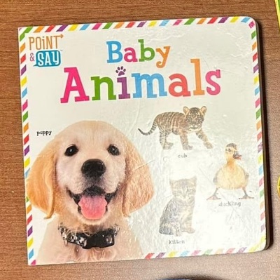 Baby Animals Board Book item