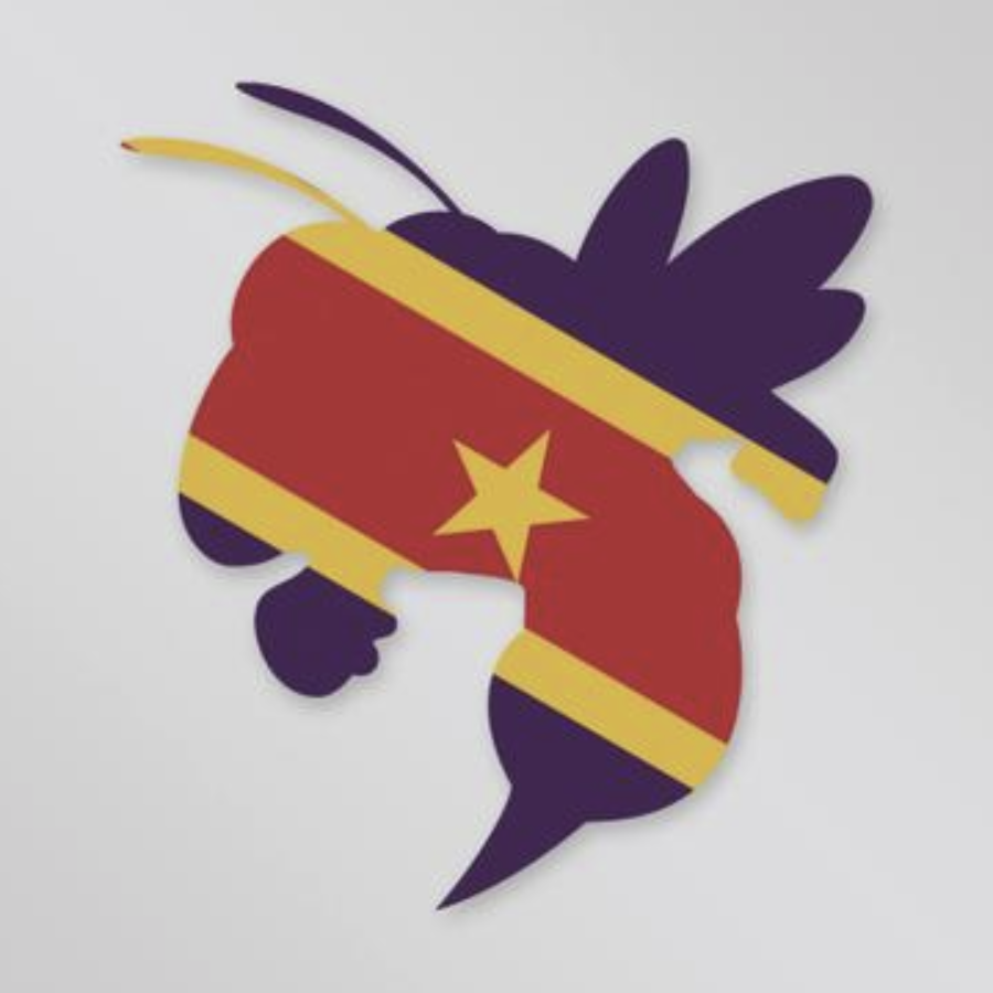 Sigma Phi Epsilon - Georgia Tech