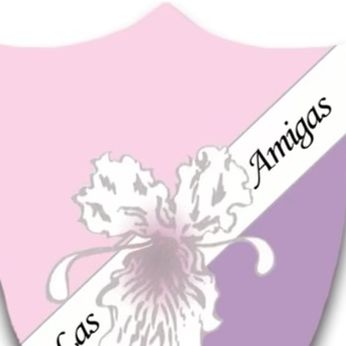 Las Amigas Inc Fayetteville Elite Chapter