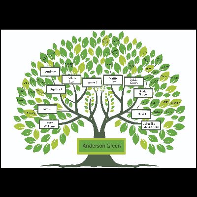 Anderson Green Family Association 1904