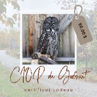 Certificat cadeau item