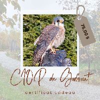 Certificat cadeau item