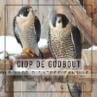 Billet d'entrée famille item