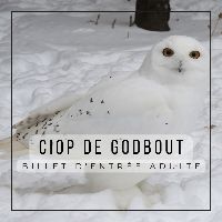 Billet d'entrée adulte item