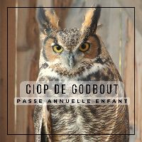 Passe annuelle enfant item