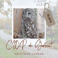 Certificat cadeau item