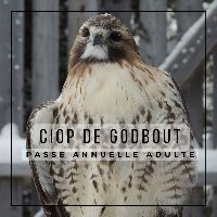 Passe annuelle adulte item