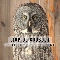 Billet d'entrée enfant item