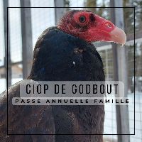 Passe annuelle famille item