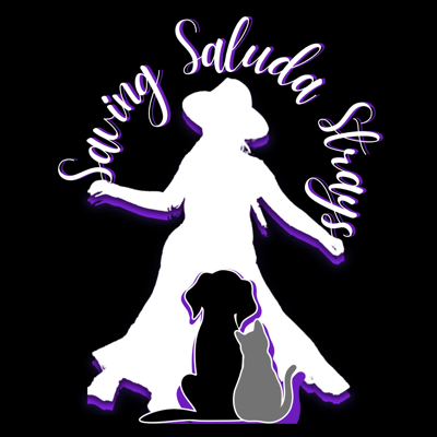 Saving Saluda Strays