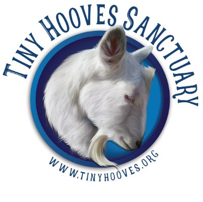 Tiny Hooves Sanctuary