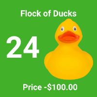 Flock of Ducks item