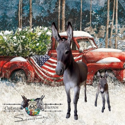 Oatman Burros Rehab and Recovery Sanctuary
