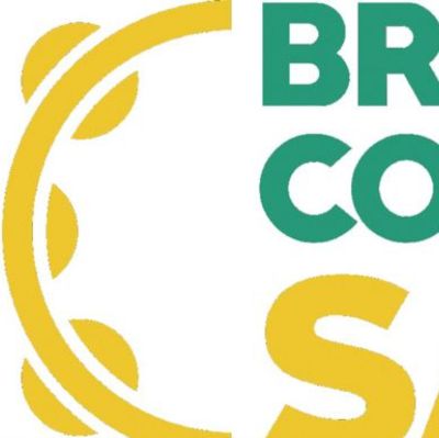 Brazilian Council on Samba