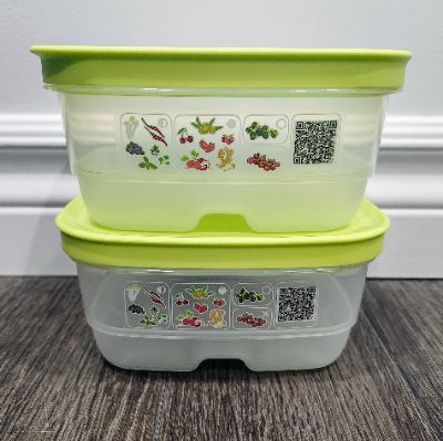 2 mini intelli-frais Tupperware item