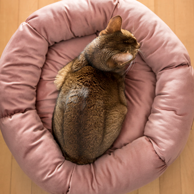 Lit douillet pour chat BeOneBreed item