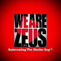 We Are Zeus, Inc