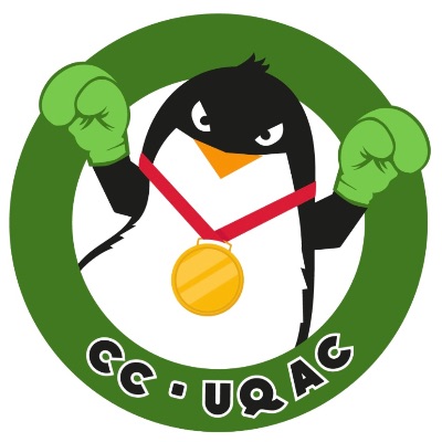 Comité Compétitions UQAC