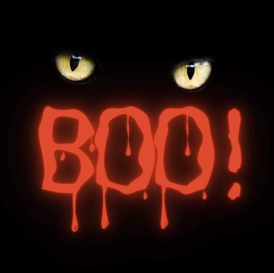 Comité mise en valeur de Saint-Benoit