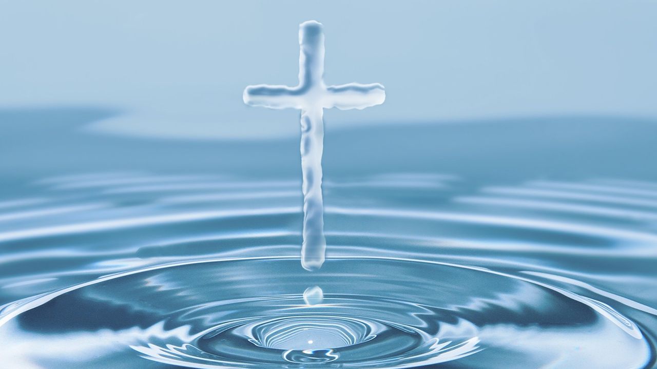 Thank you for your support!