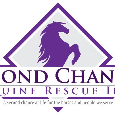 Second Chances Equine Rescue